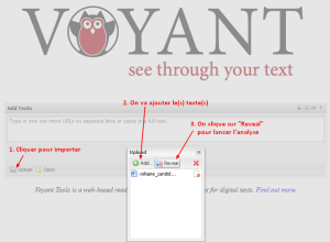 VT Tuto 1 import.png