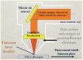 Thumbnail for version as of 18:05, 9 April 2021