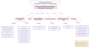 Implications pratiques Motivation intrinsèque.png