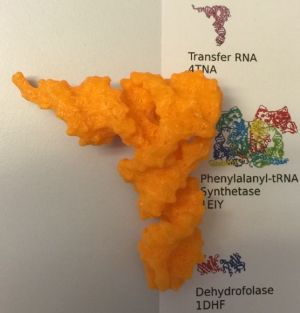 TRNA-3D-on-poster PDB.jpg