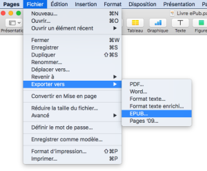 Exporter livre ePub.png