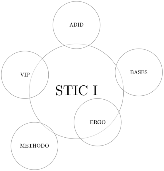 File:STIC-1-integration-maltt.png