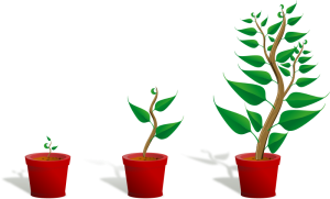 Plant-002 growing.png
