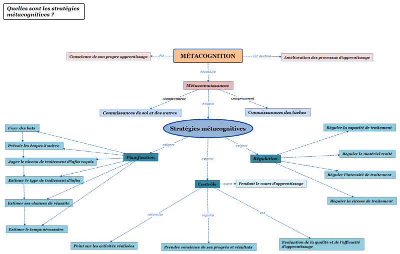 File:Métacognition Azmira V2.png