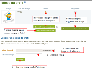 Mahara-12-modifier-profil3.png