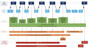 Structure de la formation.png
