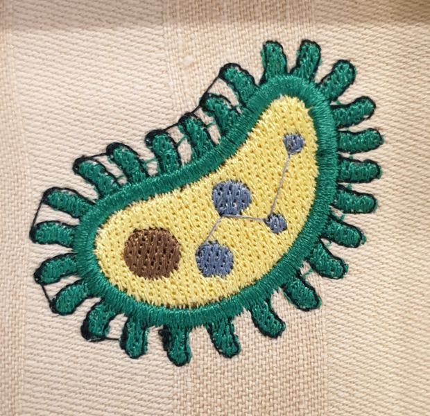 File:Microbe-twemoji.jpg
