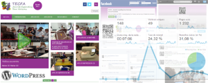 STIC4 event web site EYH 2013.png