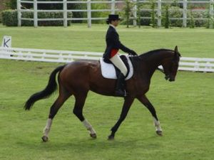 Equitation.jpg