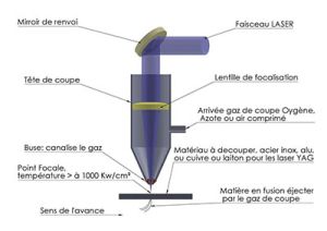 Tetedecoupe-3.jpg