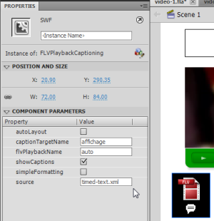 Flvplaybackcaptioning-params-cs5.png