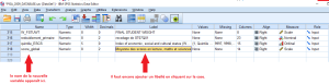 Nouvelle variable spss02.png