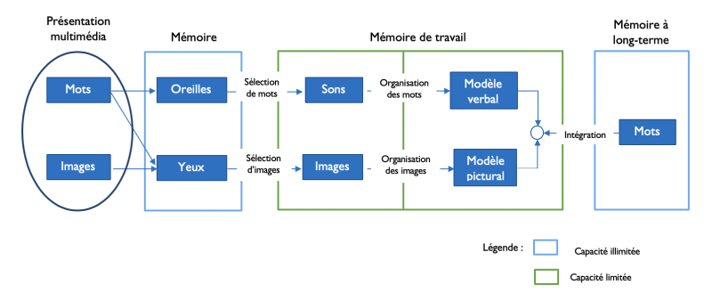 File:Théorie cognitif de l'apprentissage multimédia.png