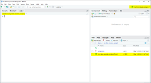 RStudio écran nouveau projet.png