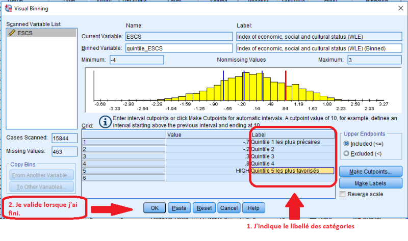File:Visual binning spss libellé.png