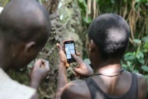 Intelligent Maps - Pygmies.jpg