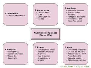 TUPEE niveaux competences.jpg