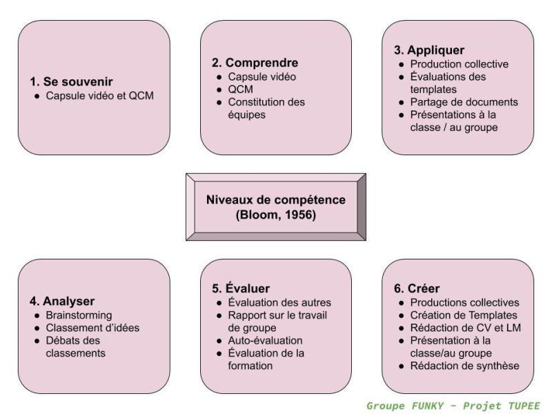 File:TUPEE niveaux competences.jpg