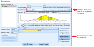 Visual binning spss nouvelle variable.png