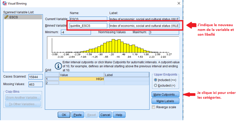 File:Visual binning spss nouvelle variable.png