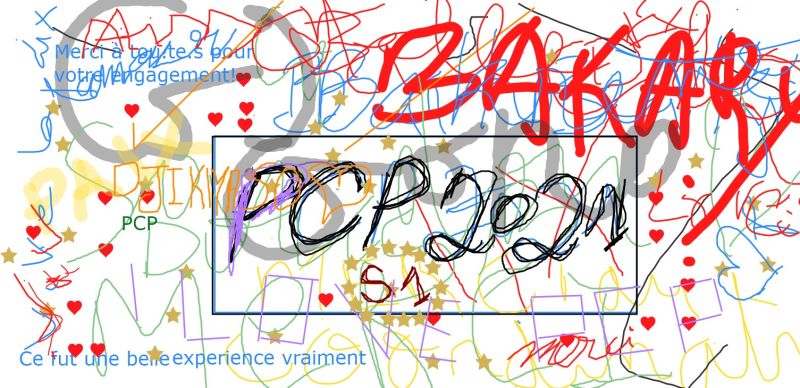 File:Oeuvre collective, cours en ligne PCP juillet 2021.jpg