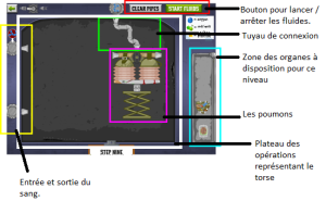 Organes à connecter.png