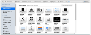 Wordpress DMS2 ecran de base.PNG