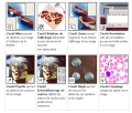 Thumbnail for version as of 18:04, 9 April 2021