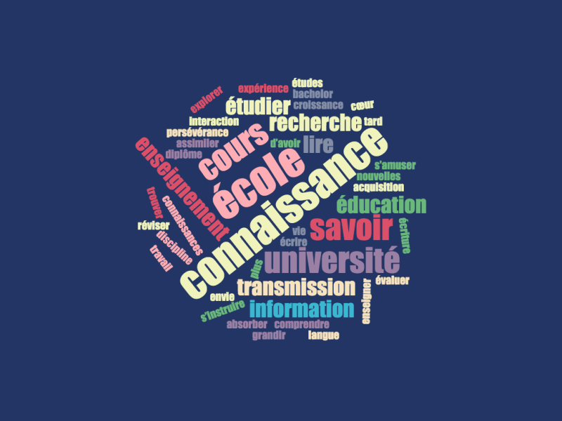 File:Wordcloud ADID1 groupe ROSS.png