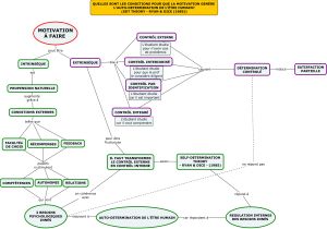 Motivation pour autodetermination v1.jpg