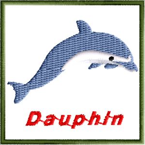 Un dauphin.jpg