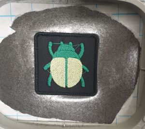 Beetle-twemoji-cours.jpg