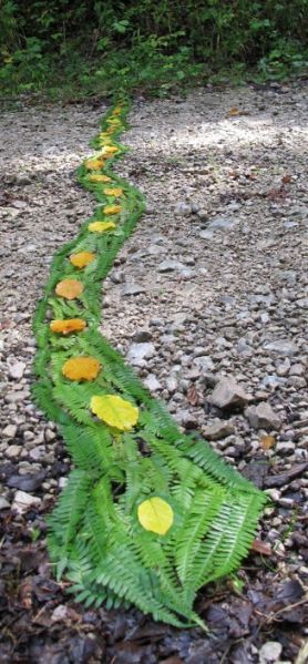 File:Snake.jpg