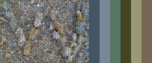 W-mosaic-palette-fx.jpg