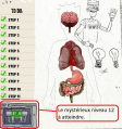 Thumbnail for version as of 18:06, 9 April 2021
