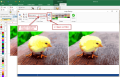 Thumbnail for version as of 18:05, 9 April 2021