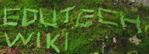 Edutechwiki-fern1.jpg