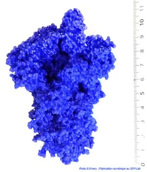 Spike-SARS-Cov-open-6VSB-SEMab.jpg