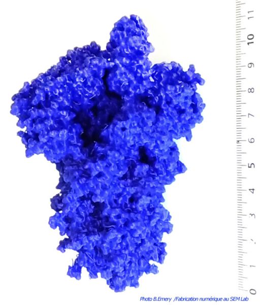 File:Spike-SARS-Cov-open-6VSB-SEMab.jpg