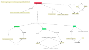 JugementEtPriseDeDecision-V3.png