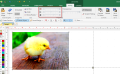 Thumbnail for version as of 18:05, 9 April 2021