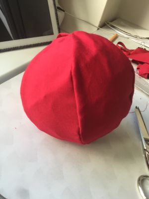 Tomate Pomodor'Up cousue.jpg
