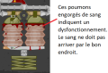 Thumbnail for version as of 18:04, 9 April 2021