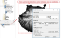 Thumbnail for version as of 17:52, 9 April 2021