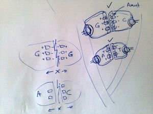 DNA pairing.jpg