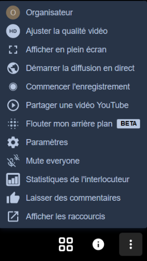 Possibilités Jitsi.png