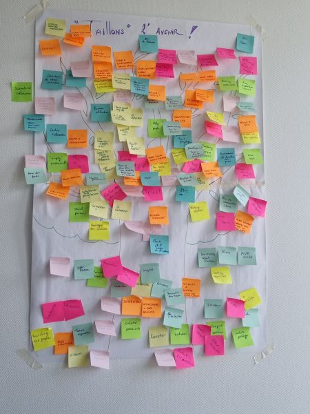 File:Collaborativ-workshop-shap-the-tree.jpg