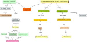 Psycholinguistique 1.jpg