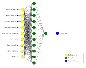 Neural Designer cancer network.png