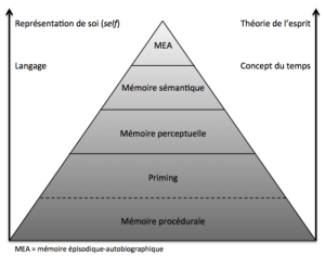 Diagramme de Tulving.png
